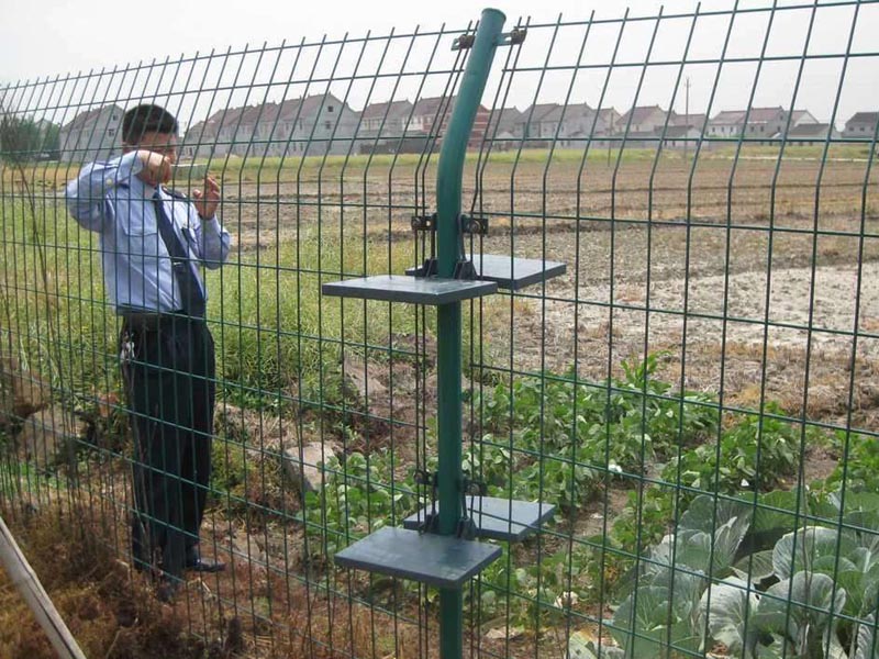 �p߅�z�o�ھW(w��ng)�DƬ