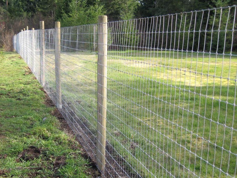 �Bֳ���ھW�N����b����